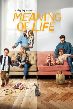 The Meaning of Life poster