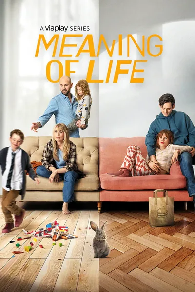 The Meaning of Life poster