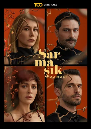 Sarmasik Zamani poster