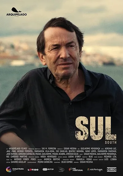 Sul poster
