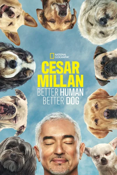 Cesar Millan: Better Human Better Dog poster