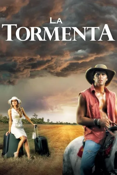 The Storm poster