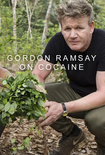 Gordon on Cocaine poster