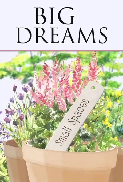 Big Dreams, Small Spaces poster
