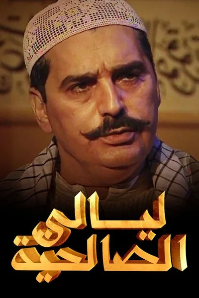 Nights of Al-Salheya poster