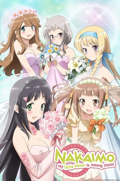 Nakaimo: My Little Sister Is Among Them poster