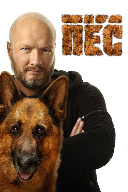 Shepherd poster