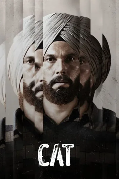 Cat poster