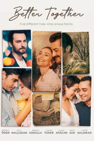 Bir Aile Hikayesi poster
