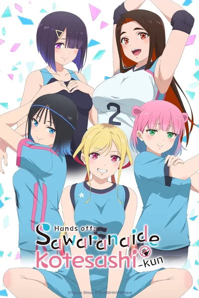 Hands Off: Sawaranaide Kotesashi-kun poster