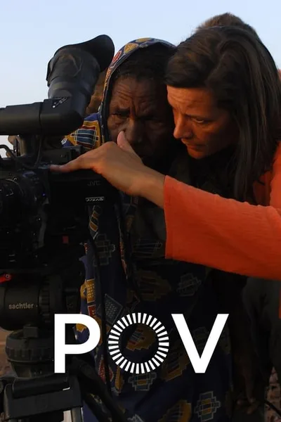 P.O.V. poster