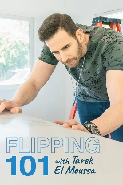 Flipping 101 poster
