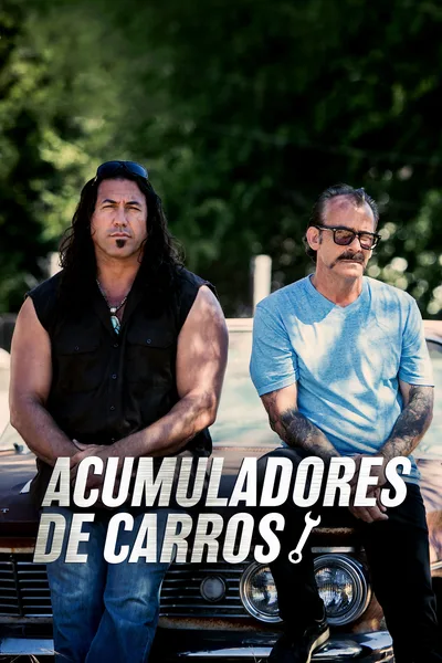 Lords of the Car Hoards poster