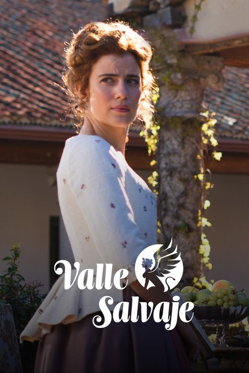 Wild Valley poster