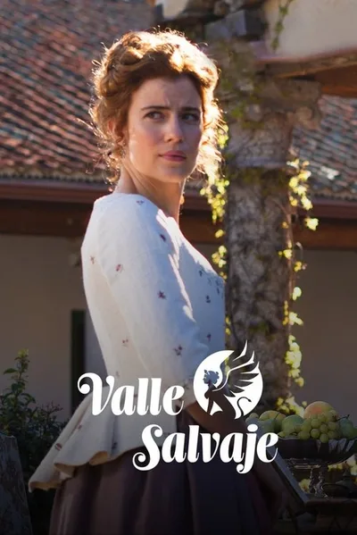 Wild Valley poster