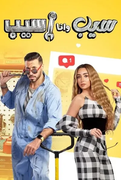 Seeb wana Aseeb poster