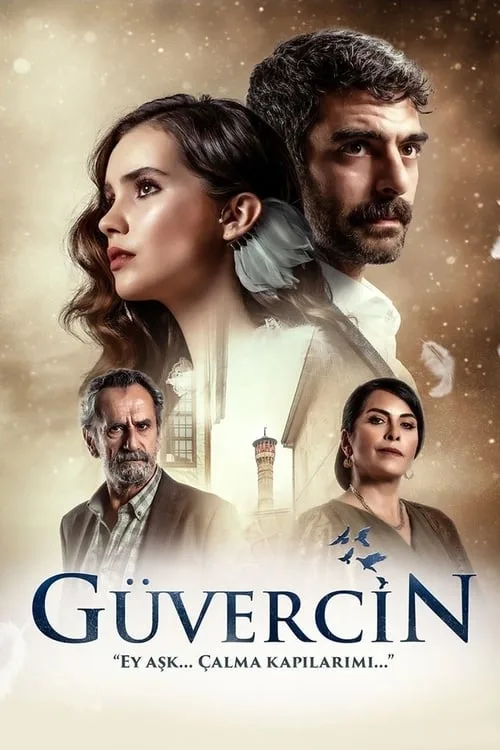 Guvercin poster