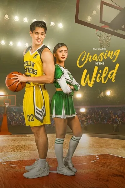 Chasing in the Wild poster