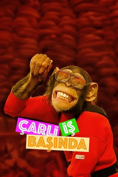 Çarli Is Basinda poster