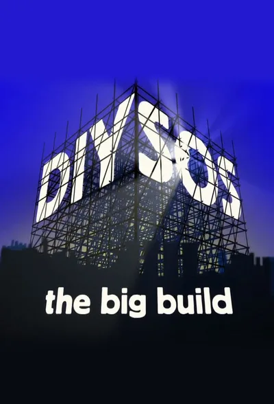 DIY SOS poster