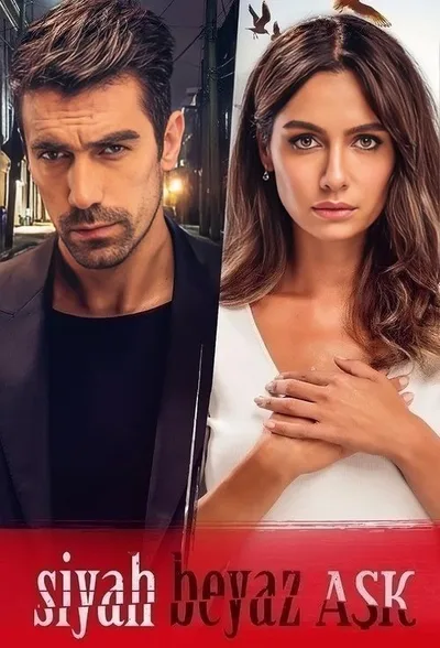 Price of Passion poster
