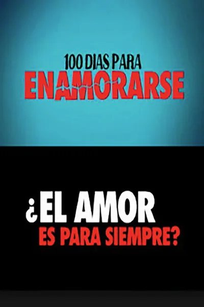 100 Days to Fall in Love poster