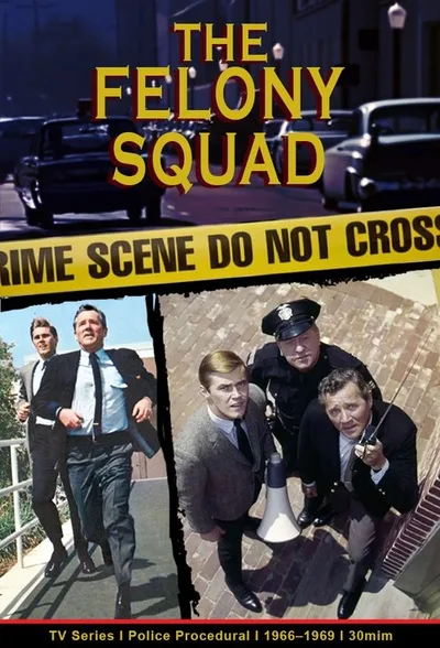 The Felony Squad poster
