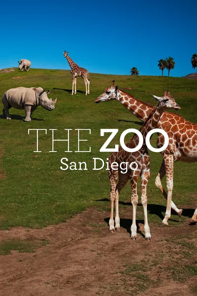 The Zoo: San Diego poster