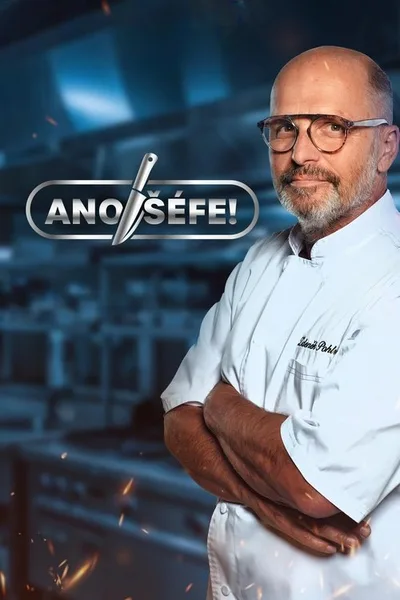 Ano, séfe! poster