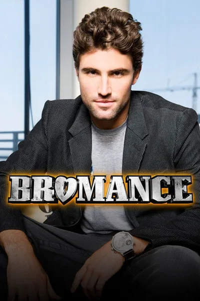 Bromance poster