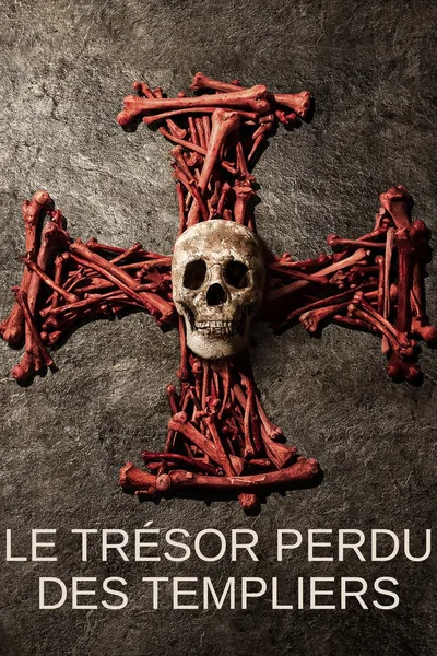 Pirate Treasure of the Knight's Templar poster