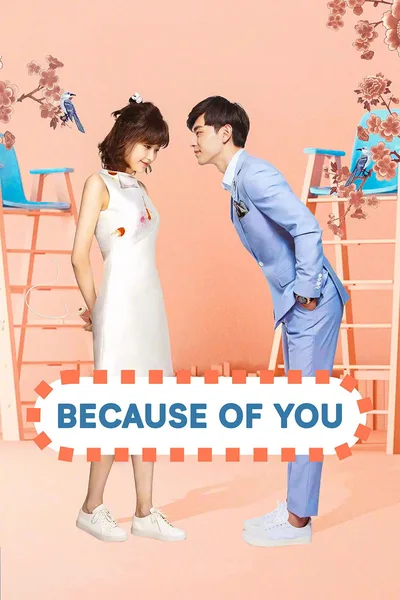 Because of Meeting You poster