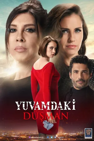 Yuvamdaki Düsman poster