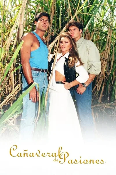 Cañaveral de pasiones poster