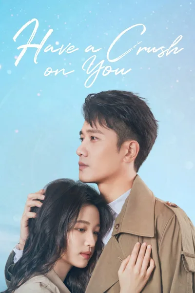 Have a Crush on You poster