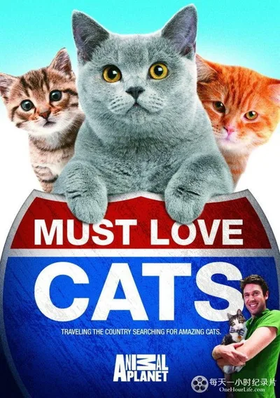 Must Love Cats poster