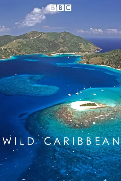 Wild Caribbean poster