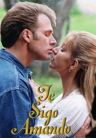 Te sigo amando poster
