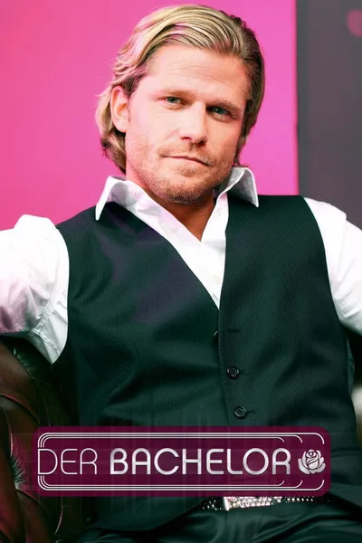 The Bachelor poster
