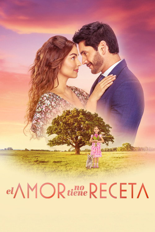 Love Has No Recipe poster