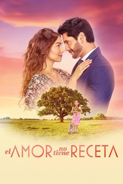 Love Has No Recipe poster