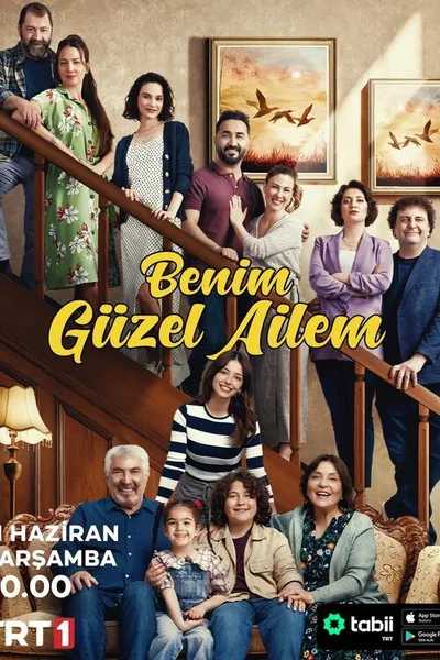 My Beautiful Family poster