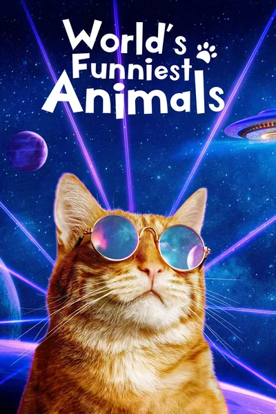 The World's Funniest Animals poster