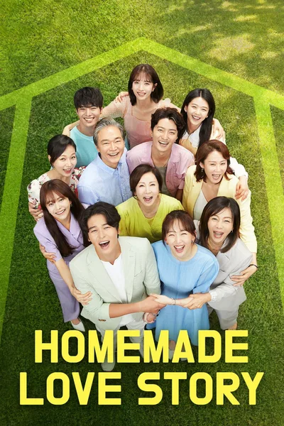 Homemade Love Story poster