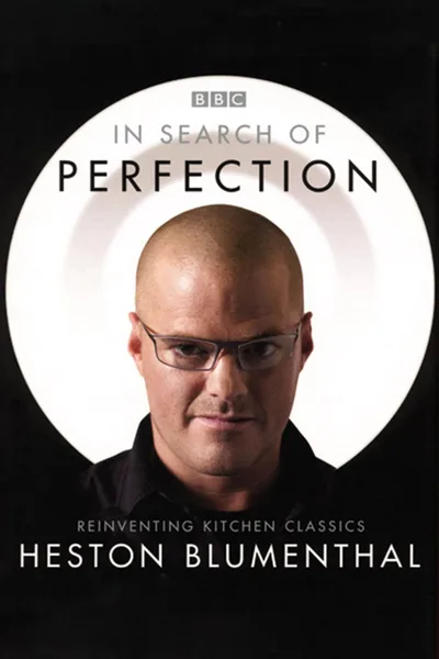 In Search of Perfection poster