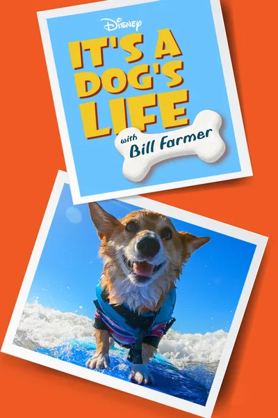 It's A Dog's Life poster