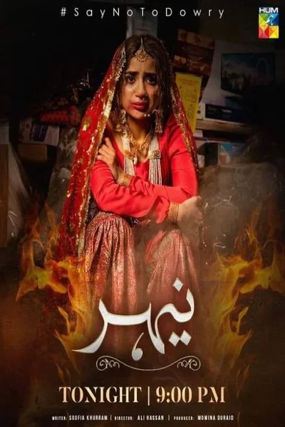 Nehir poster