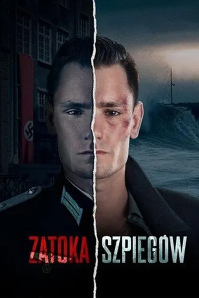 The Bay of Spies poster