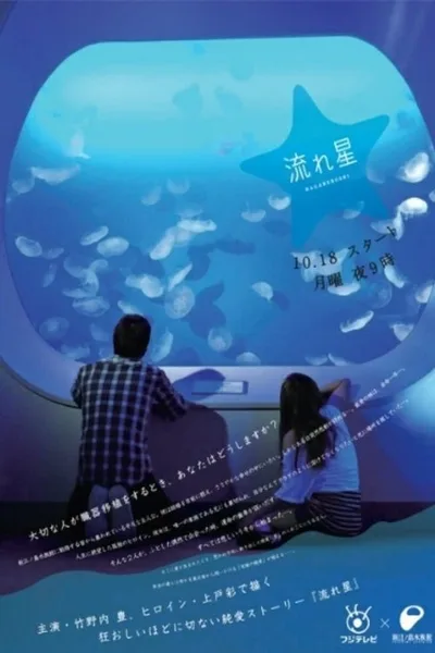 Nagareboshi poster