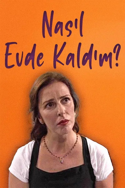 Nasil Evde Kaldim poster